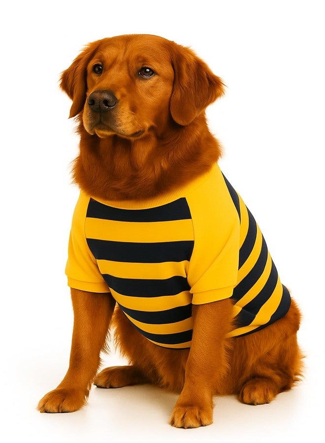 Zigly Lifestyle Bumble Stripe Dog Sweatshirt | Soft Cotton Pullover for Dogs | Warm, Lightweight, Easy-Wear Pet Clothing for Small to Large Breeds Size Small - Image 5